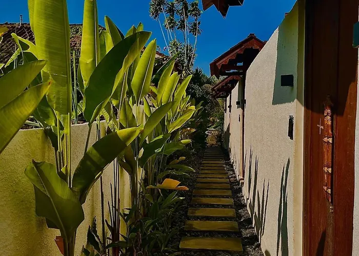 Zenya - Tropical Chalet